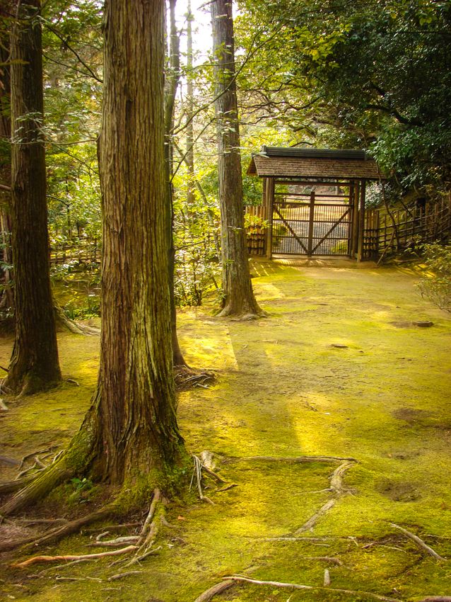 Mysterious Japanese path