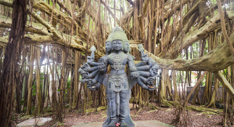 Kauai Hindu Monastery Lord Shanmuga Among Banyan Tree